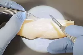 外科醫生處理雞柳條上的筋膜 以完全手術規格去除的影片吸引無數網友觀看
