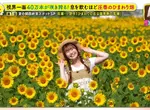職業攝影師推薦《日本關西地區５大必拍景點》今年夏天不拍就要等明年