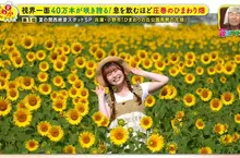 職業攝影師推薦《日本關西地區５大必拍景點》今年夏天不拍就要等明年