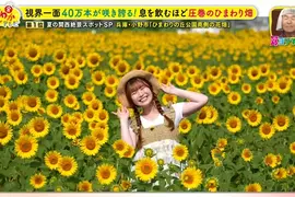 職業攝影師推薦《日本關西地區５大必拍景點》今年夏天不拍就要等明年