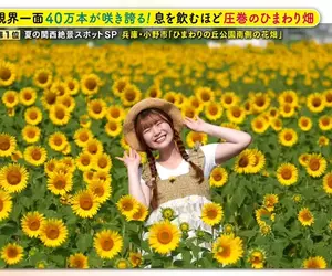 職業攝影師推薦《日本關西地區５大必拍景點》今年夏天不拍就要等明年