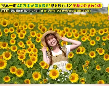 職業攝影師推薦《日本關西地區５大必拍景點》今年夏天不拍就要等明年