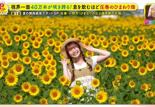 職業攝影師推薦《日本關西地區５大必拍景點》今年夏天不拍就要等明年