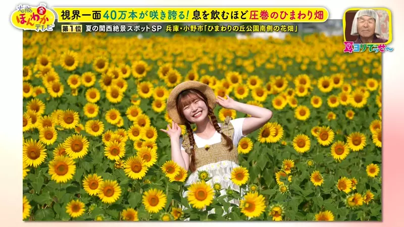職業攝影師推薦《日本關西地區５大必拍景點》今年夏天不拍就要等明年
