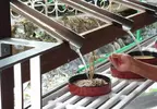 日本社群話題《瀑布流水蕎麥麵》鐘乳石洞觀光必吃創意美食