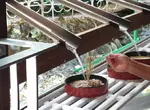 日本社群話題《瀑布流水蕎麥麵》鐘乳石洞觀光必吃創意美食