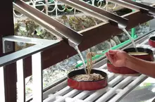 日本社群話題《瀑布流水蕎麥麵》鐘乳石洞觀光必吃創意美食