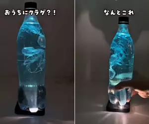材料簡單容易製作的《水母水族館》只要用寶特瓶加某一種道具就能完成的趣味玩法
