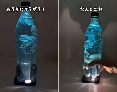 材料簡單容易製作的《水母水族館》只要用寶特瓶加某一種道具就能完成的趣味玩法
