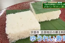 日本超稀有傳統美食《幽靈壽司》只有白飯也能稱作壽司嗎？