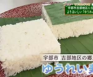 日本超稀有傳統美食《幽靈壽司》只有白飯也能稱作壽司嗎？