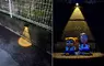 突發奇想的拍照創意 給路邊完全不知道用來幹嘛的照明燈賦予一些意義