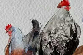 藝術家《Myroslava Boikiv》用水彩渲染的方式去描繪圖紙上生動的雞