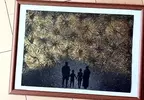 衛生紙捲芯的藝術活用法 用剪刀剪一剪加點顏料就可以創作出漂亮的煙火效果