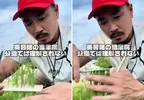 43歲《雜草理髮師》的公園迷惑行為，靠替雜草修剪影片衝破百萬觀看