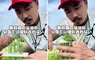 43歲《雜草理髮師》的公園迷惑行為，靠替雜草修剪影片衝破百萬觀看
