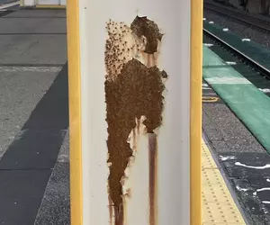 《生活中的藝術》日本網友在車站發現美術館等級畫作 大家都來分享各種路邊的大師作品