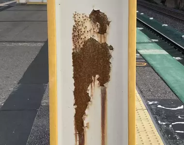 《生活中的藝術》日本網友在車站發現美術館等級畫作 大家都來分享各種路邊的大師作品