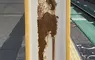 《生活中的藝術》日本網友在車站發現美術館等級畫作 大家都來分享各種路邊的大師作品