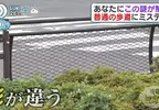 《日本道路護欄的秘密》為什麼只有這個地方設計不一樣？原來藏著救命的巧思……
