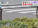 《日本道路護欄的秘密》為什麼只有這個地方設計不一樣？原來藏著救命的巧思……