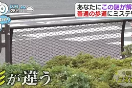 《日本道路護欄的秘密》為什麼只有這個地方設計不一樣？原來藏著救命的巧思……