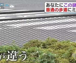 《日本道路護欄的秘密》為什麼只有這個地方設計不一樣？原來藏著救命的巧思……