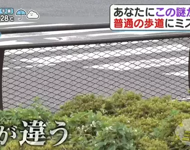 《日本道路護欄的秘密》為什麼只有這個地方設計不一樣？原來藏著救命的巧思……