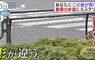 《日本道路護欄的秘密》為什麼只有這個地方設計不一樣？原來藏著救命的巧思……