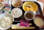 《日本網友抱怨住院餐》被狠狠吐槽太不知足了 大家都來分享更糟糕的住院餐