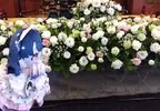 偶像大師粉絲《在媽媽的喪禮上從事娃活》引爆網友們的猛烈批評了