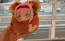 《賽馬娘粉絲美國遊記》原定參加的演唱會臨時取消 改在洛杉磯從事娃活觀光了