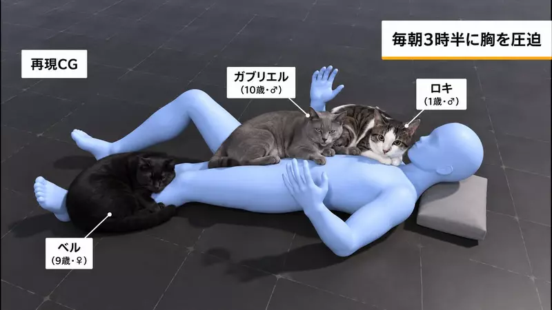 網友裝了監視器才發現自己多年腰痛的原因 竟然真相是貓貓直接趴在主人身體上休息所導致的...