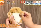 日本超人氣倉鼠娃娃《倉鼠飯糰》橫掃年輕女性的娃活市場