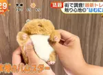 日本超人氣倉鼠娃娃《倉鼠飯糰》橫掃年輕女性的娃活市場