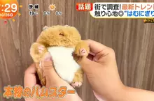 日本超人氣倉鼠娃娃《倉鼠飯糰》橫掃年輕女性的娃活市場