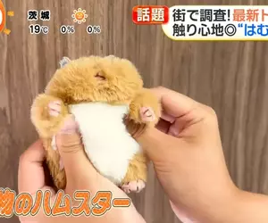 日本超人氣倉鼠娃娃《倉鼠飯糰》橫掃年輕女性的娃活市場