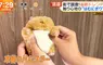 日本超人氣倉鼠娃娃《倉鼠飯糰》橫掃年輕女性的娃活市場