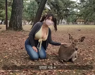 爆乳美女直擊《奈良鹿公園》聽說人要比動物凶，這樣才不會在餵食的時候動口咬妳？