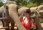 餵大象吃西瓜的女孩《阿部なつき》被網友封為「令和的峰不二子」，可見身材真的很有料