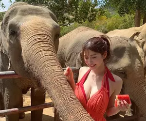 餵大象吃西瓜的女孩《阿部なつき》被網友封為「令和的峰不二子」，可見身材真的很有料
