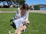 加州景點《Soasalito》來去有舊金山後花園之稱的美麗海灣小城逛逛 加州景點《Soasalito》來去有舊金山後花園之稱的美麗海灣小城逛逛