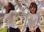 2025日本賞櫻重點 抬頭看高高覺得脖子酸，那把視線稍微往下調一點就不那麼酸了
