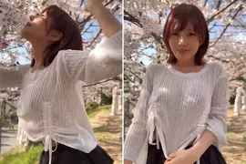 2025日本賞櫻重點 抬頭看高高覺得脖子酸,那把視線稍微往下調一點就不那麼酸了 2025日本賞櫻重點 抬頭看高高覺得脖子酸,那把視線稍微往下調一點就不那麼酸了