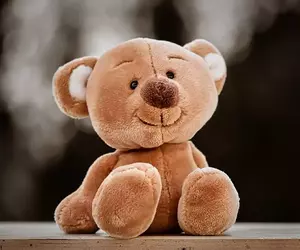 網友利用AI軟體「Grok」做出了絨毛熊熊的瑟瑟素材 網友利用AI軟體「Grok」做出了絨毛熊熊的瑟瑟素材