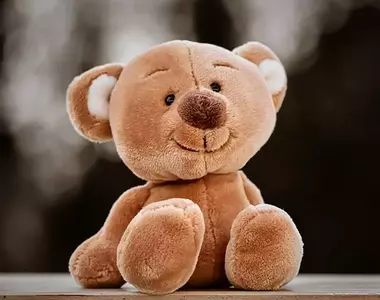 網友利用AI軟體「Grok」做出了絨毛熊熊的瑟瑟素材