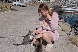 世界六大貓島《相島》九州福岡景點搭船來看貓貓的療癒天堂