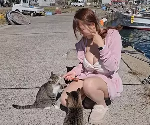 世界六大貓島《相島》九州福岡景點搭船來看貓貓的療癒天堂 世界六大貓島《相島》九州福岡景點搭船來看貓貓的療癒天堂