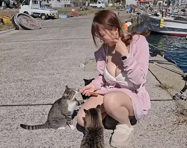 世界六大貓島《相島》九州福岡景點搭船來看貓貓的療癒天堂